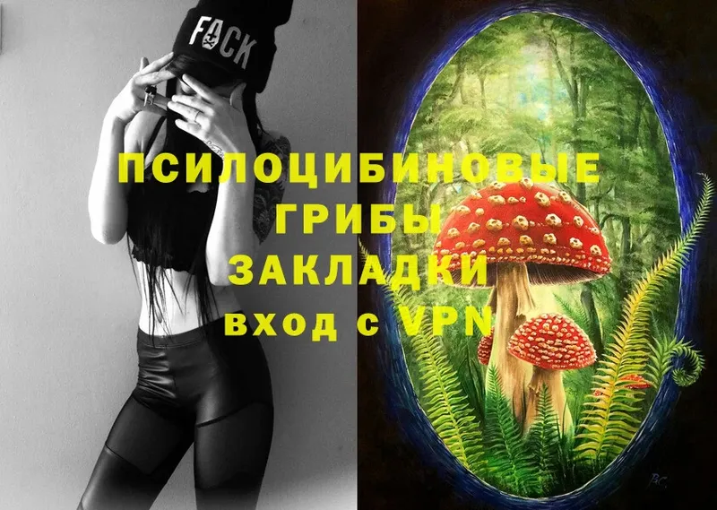 Псилоцибиновые грибы MAGIC MUSHROOMS  цена   Бородино 